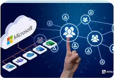 Hire Microsoft Expert