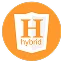 Hybrid App Development